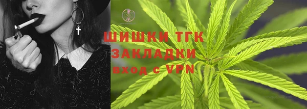 хмурый Белокуриха