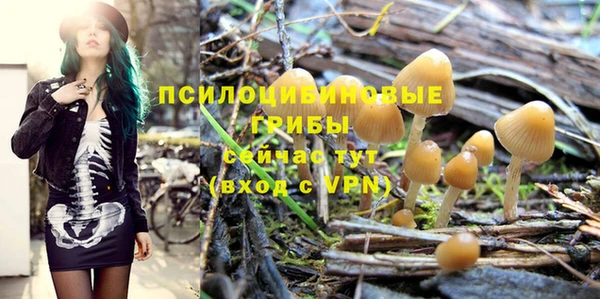 крисы Богданович