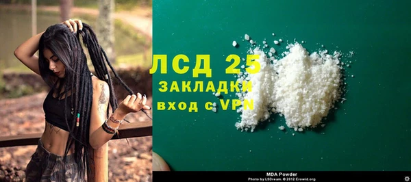 хмурый Белокуриха