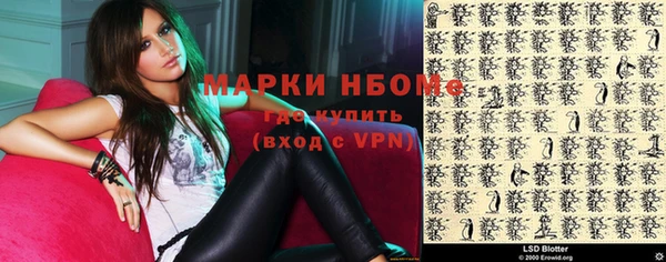 хмурый Белокуриха