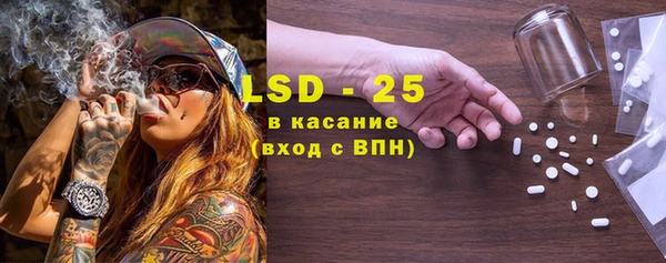 хмурый Белокуриха