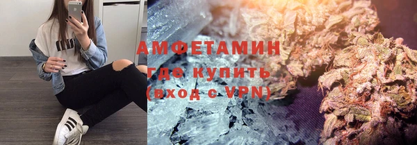 хмурый Белокуриха